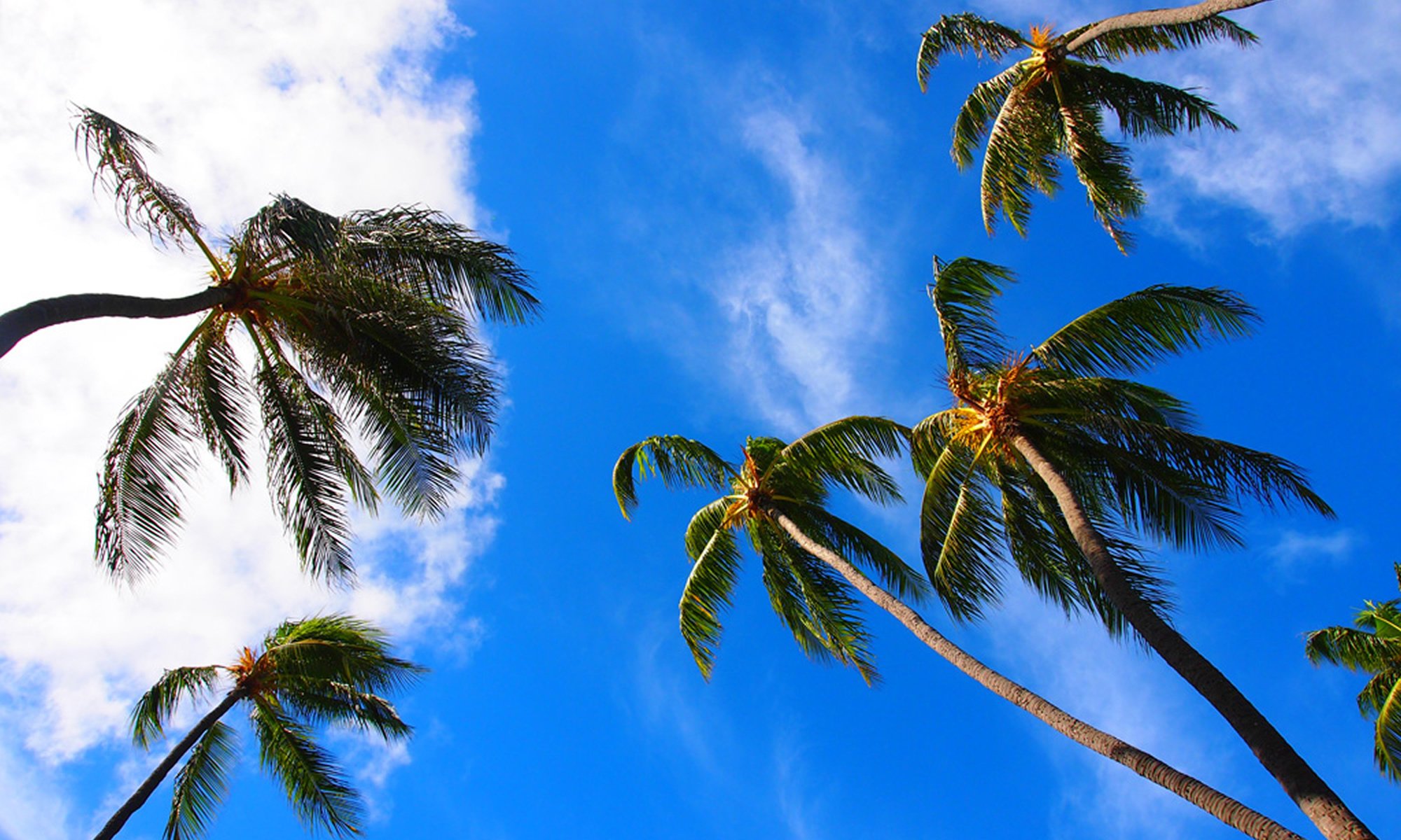 日々の疲れた体を癒すためのマッサージ